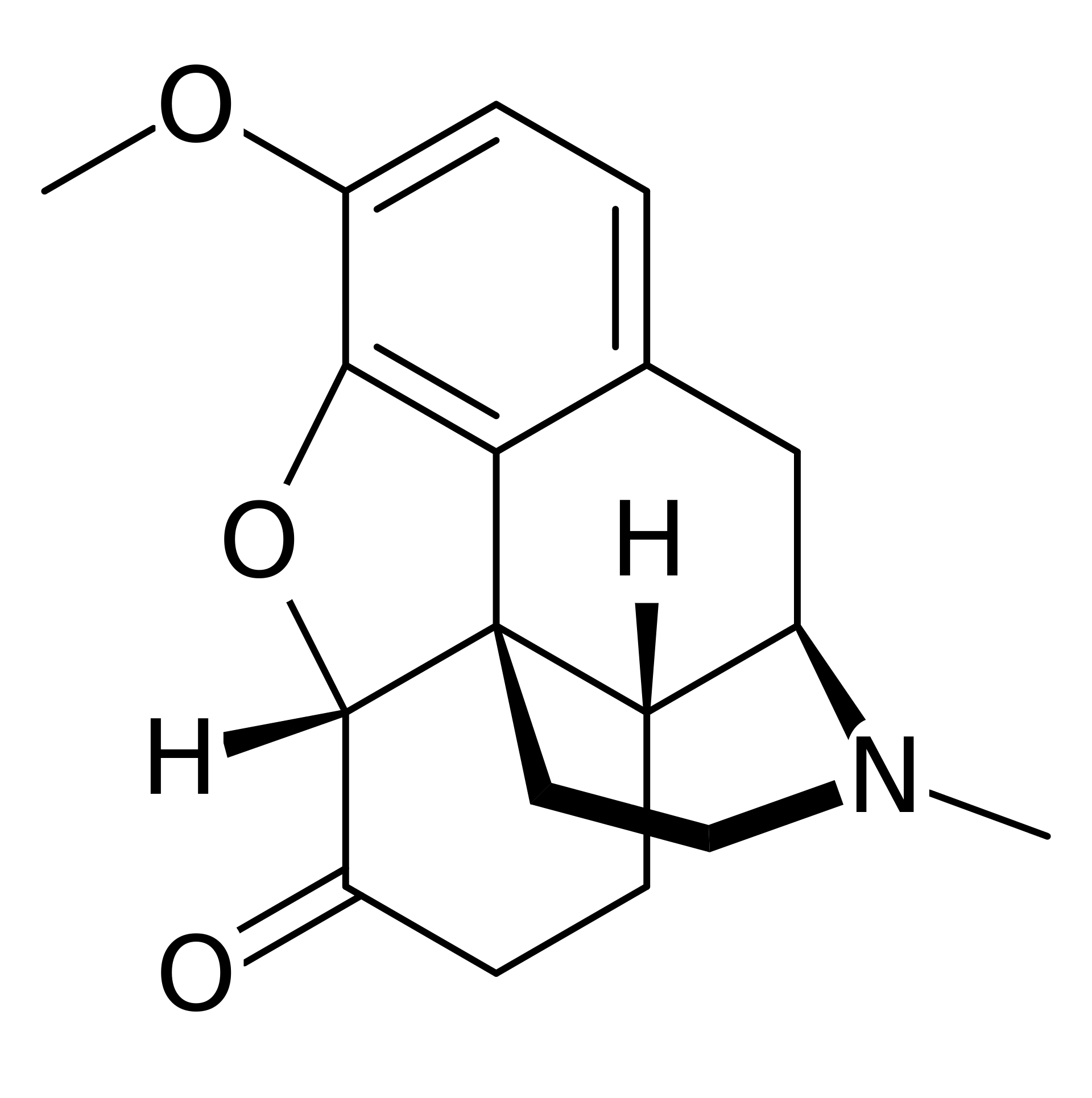 Hydrocodone Bitartrate