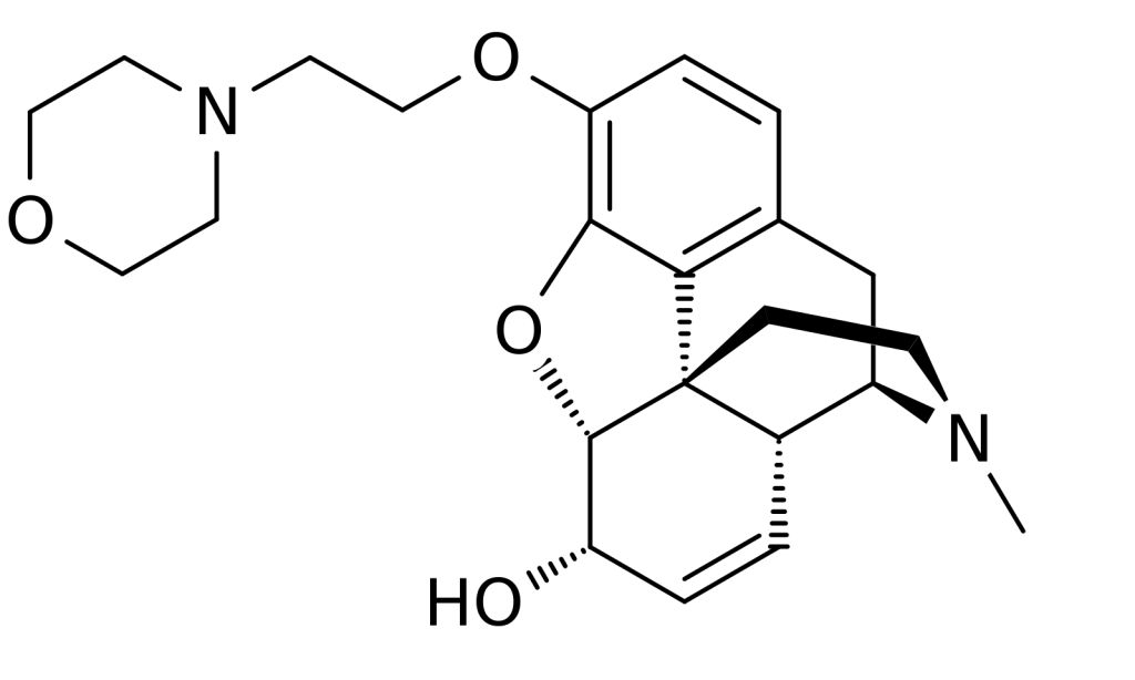 Pholcodine Structure